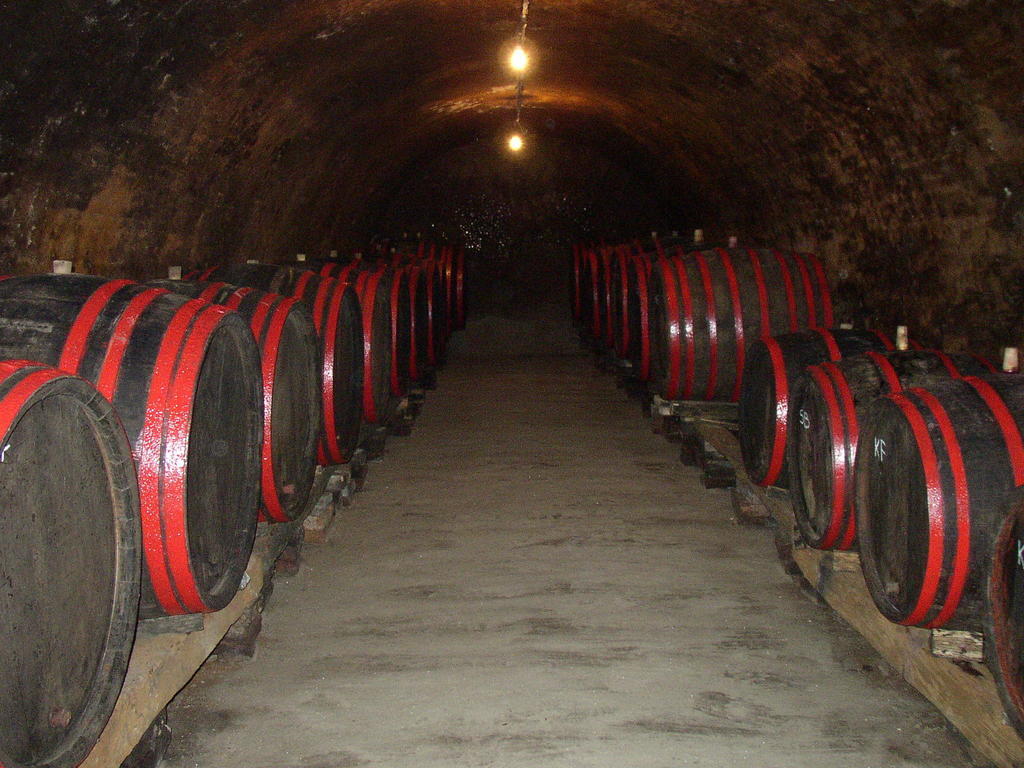 Podrumi Kolar "Suza Baranje" Knezevi Vinogradi Ngoại thất bức ảnh